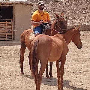 Shervin Sahbayi